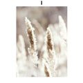 Bohemian beach landscape wall art – living room beige pampas decor