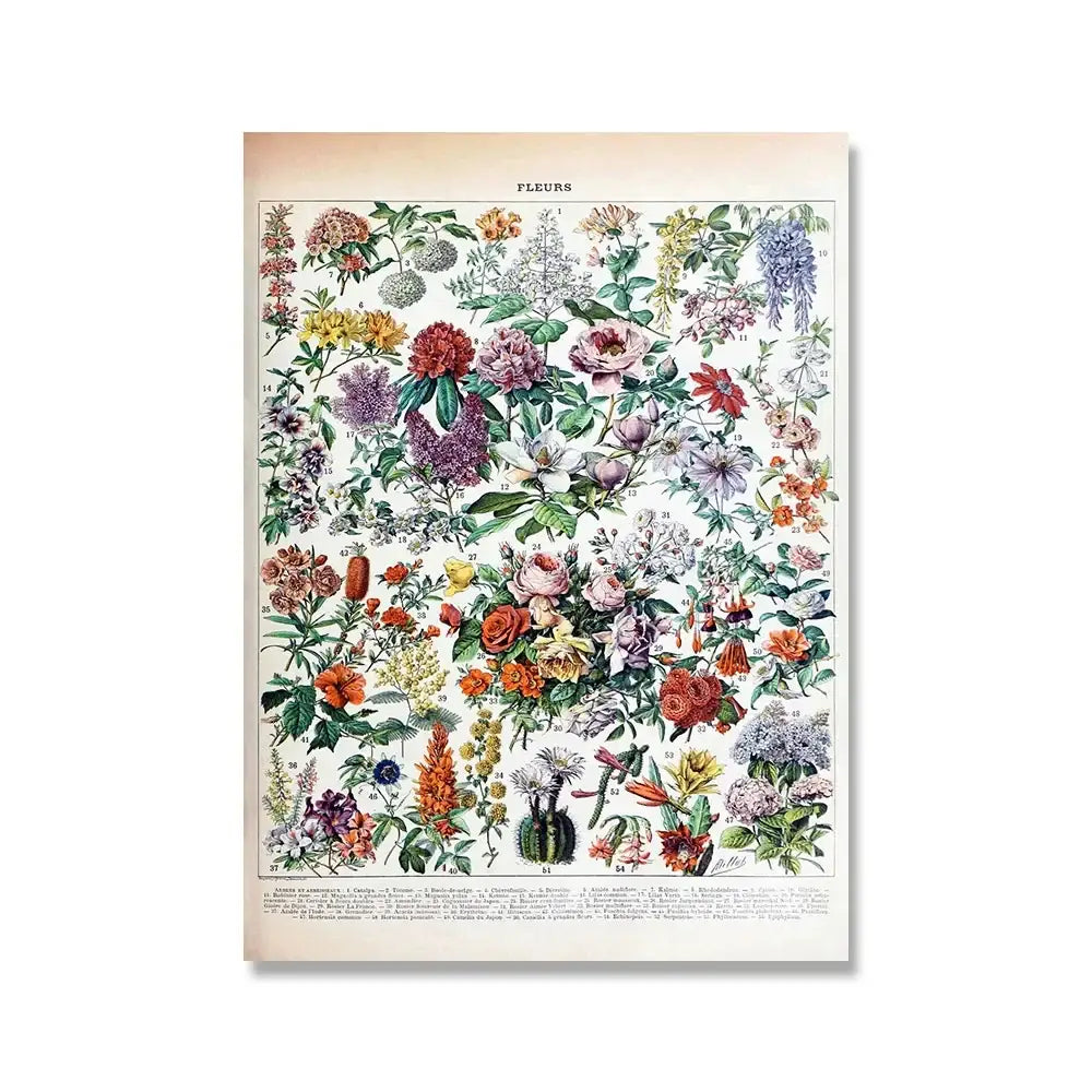 Adolphe millot encyclopedia botanical framed wall art living room decor
