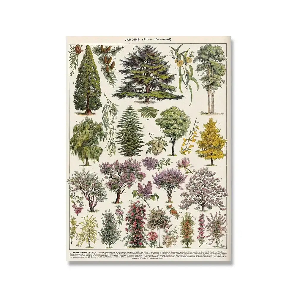 Adolphe millot encyclopedia botanical framed wall art living room decor