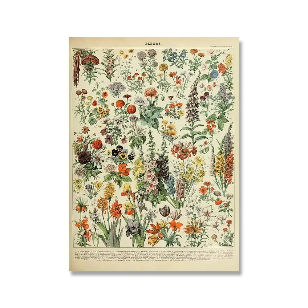 Adolphe millot encyclopedia botanical framed wall art living room decor