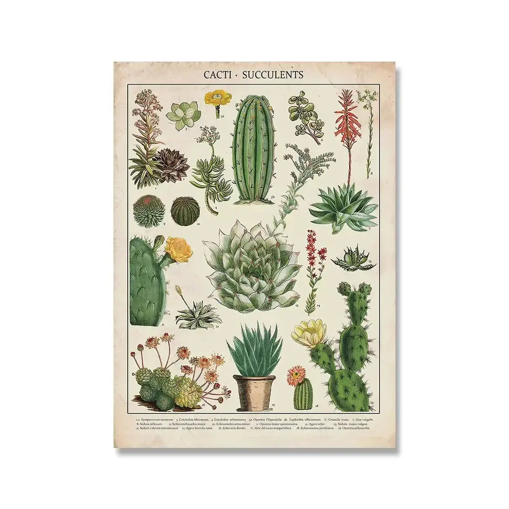 Adolphe millot encyclopedia botanical framed wall art living room decor