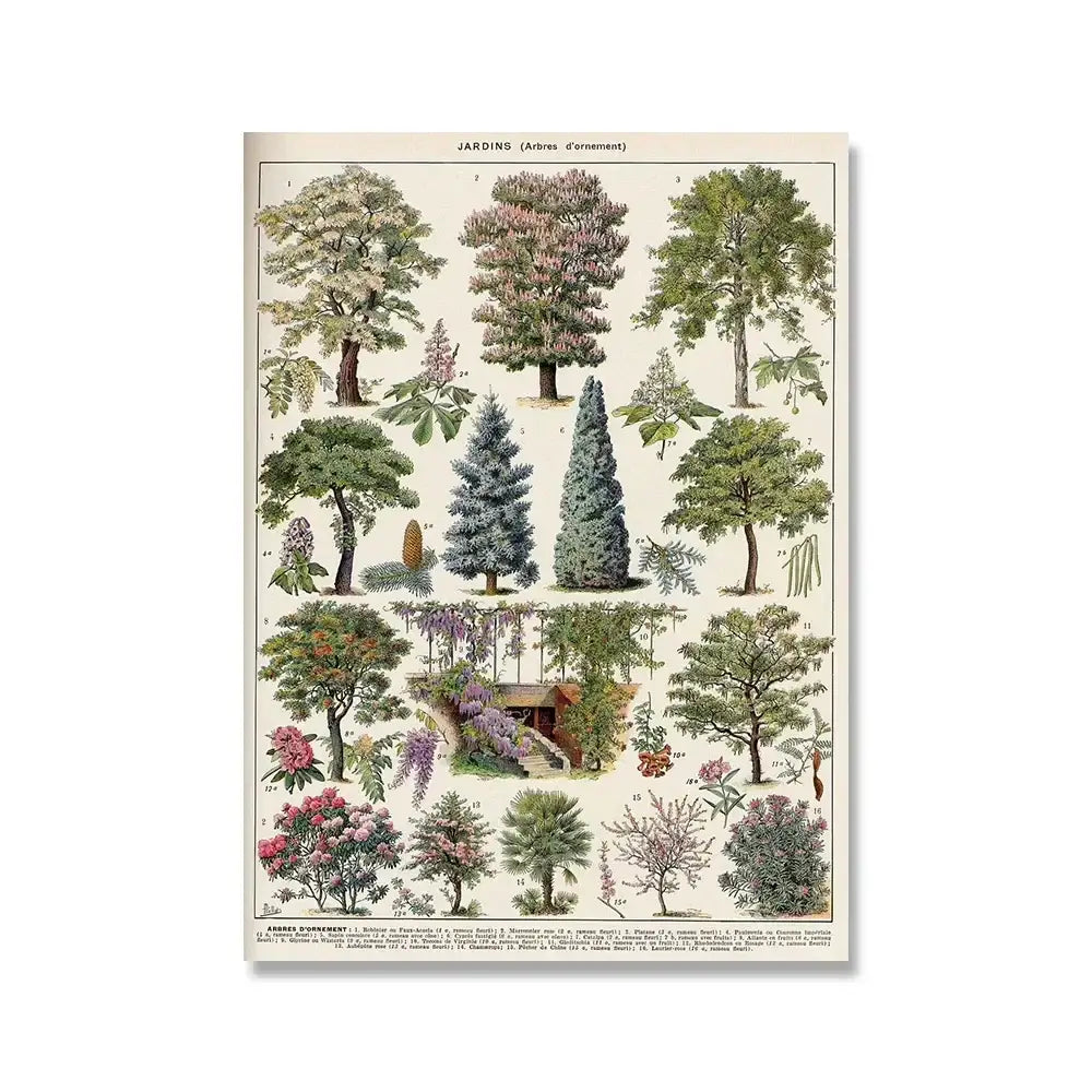 Adolphe millot encyclopedia botanical framed wall art living room decor