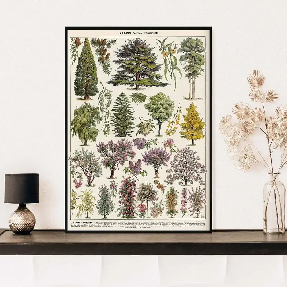 Adolphe millot encyclopedia botanical framed wall art living room decor
