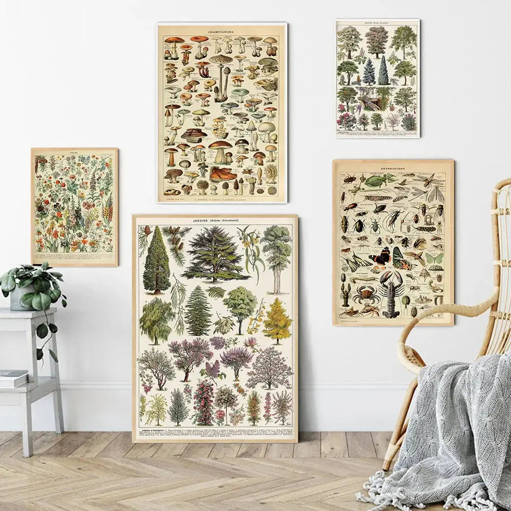 Adolphe millot encyclopedia botanical framed wall art living room decor