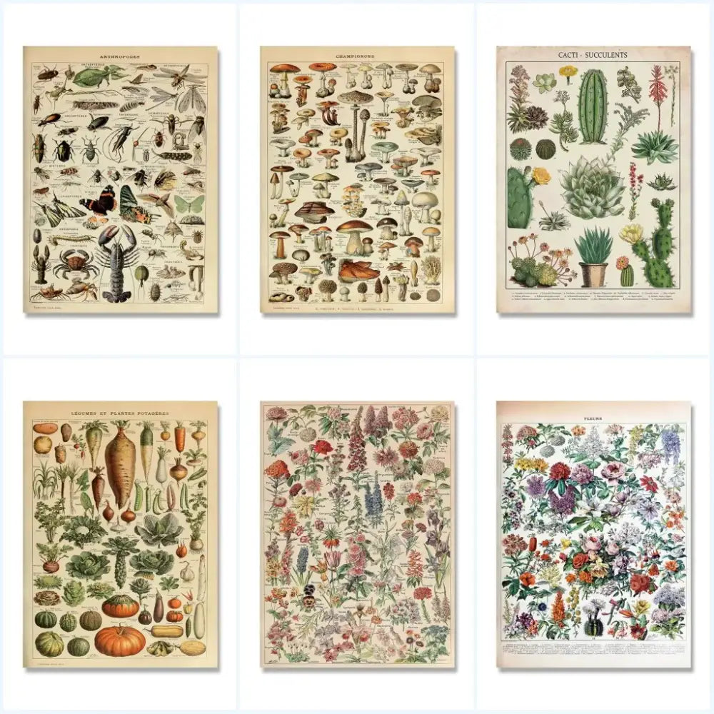 Adolphe millot encyclopedia botanical framed wall art living room decor