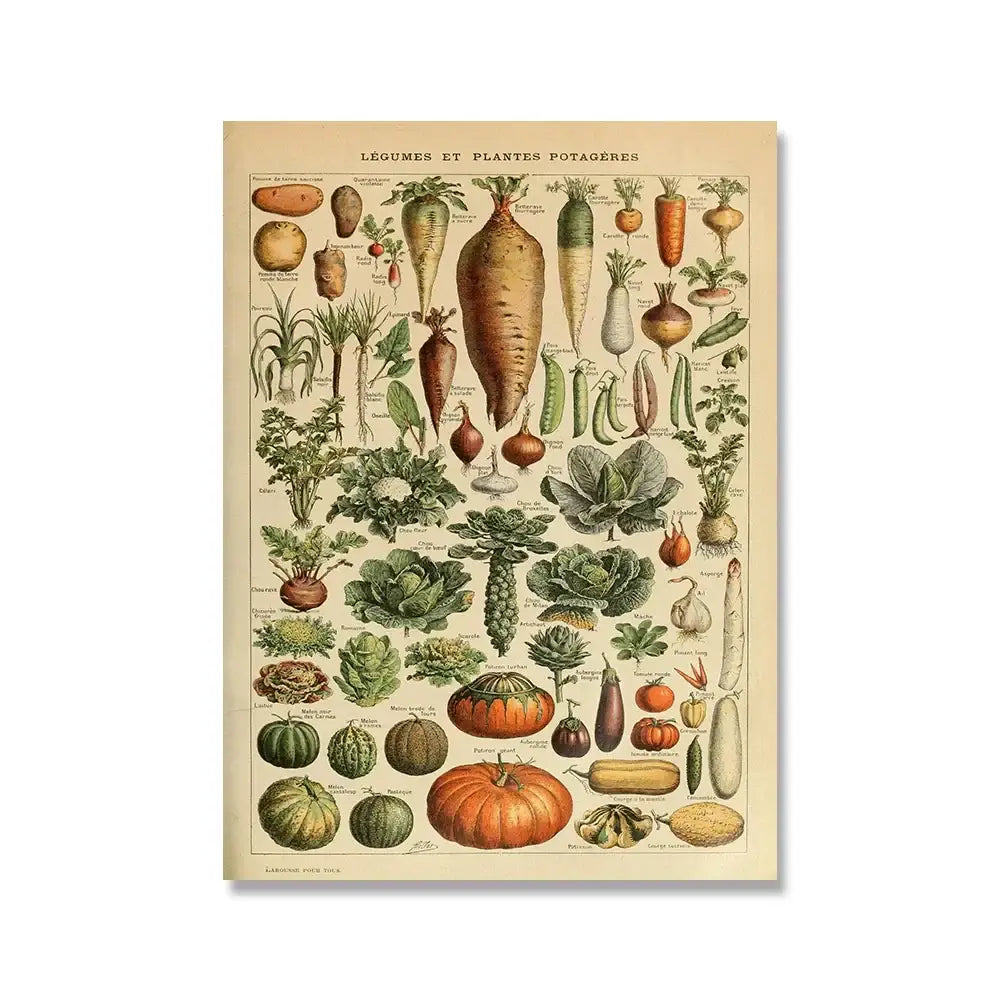 Adolphe millot encyclopedia botanical framed wall art living room decor