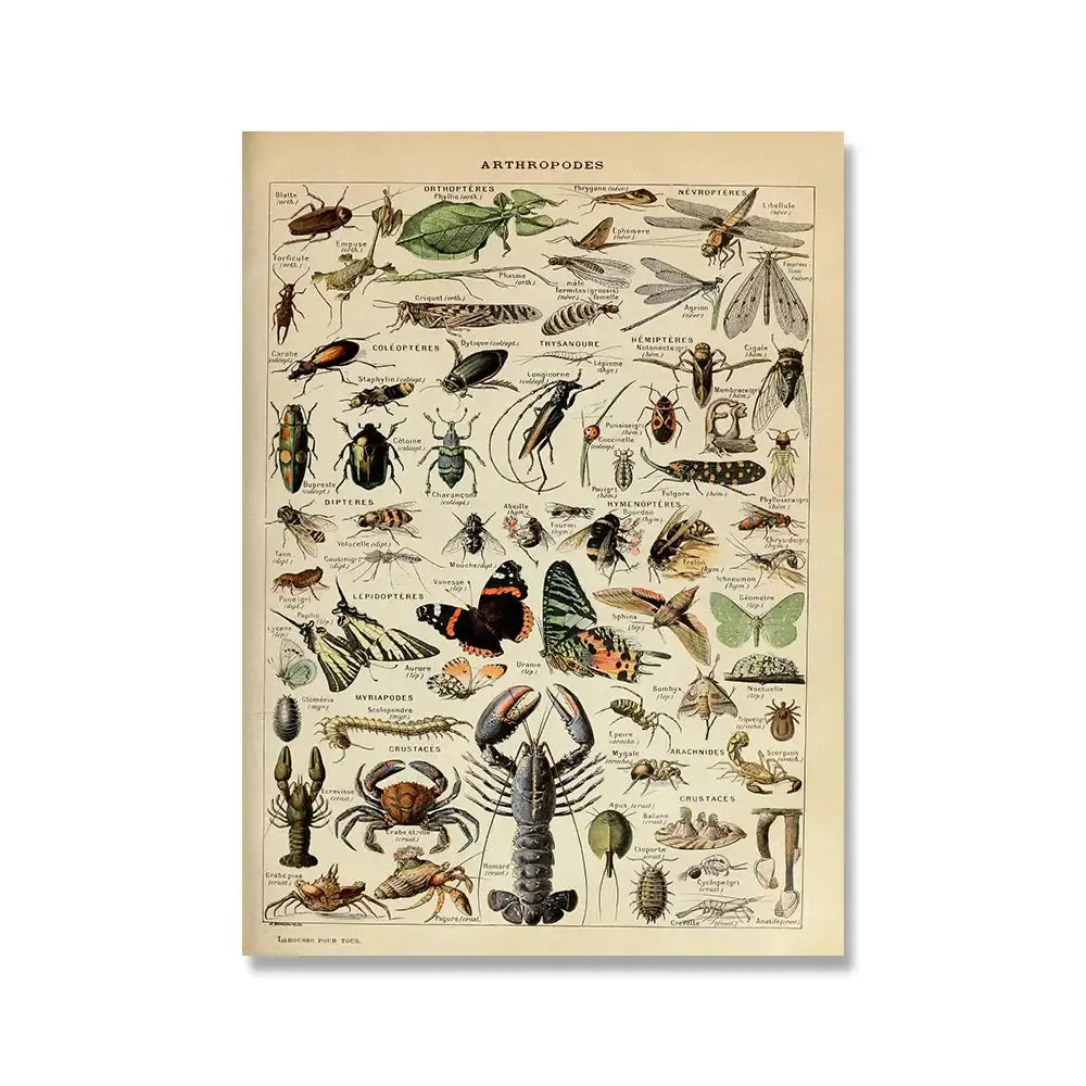 Adolphe millot encyclopedia botanical framed wall art living room decor