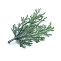 Green feathery artificial foliage sprigs home decor living room accent