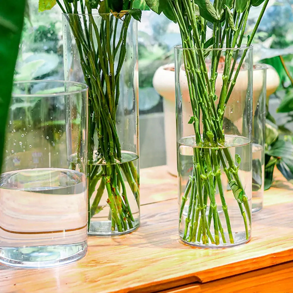 Modern clear acrylic hurricane flower vase dining room centerpiece