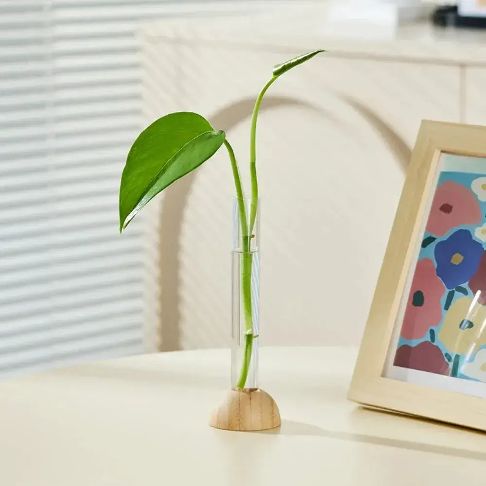 Minimalist wood and plastic test tube vase living room decor