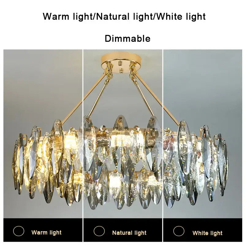 Modern gold decorbites crystal chandelier light for living room