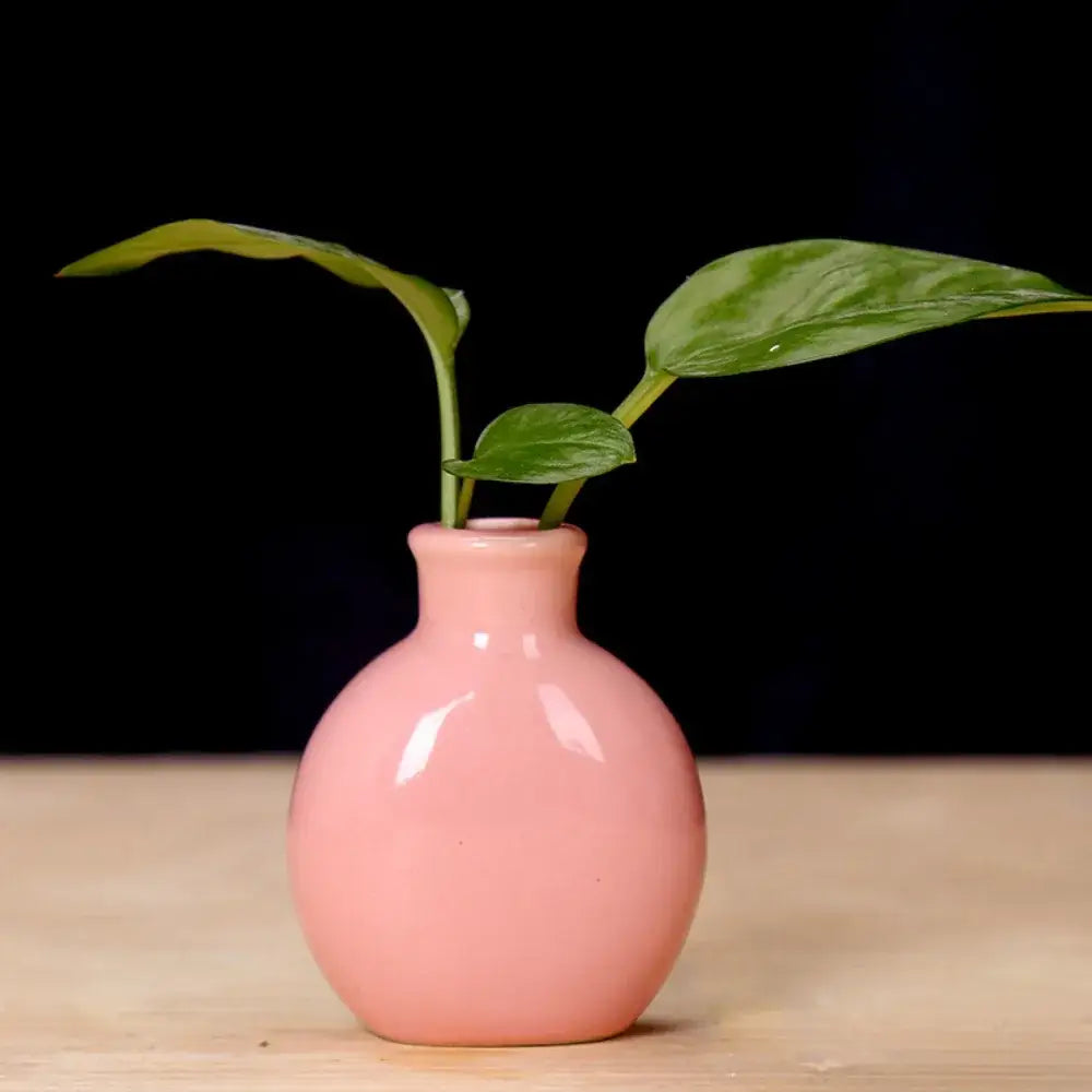 Pastel mini ceramic flower vase set for living room shelf decor