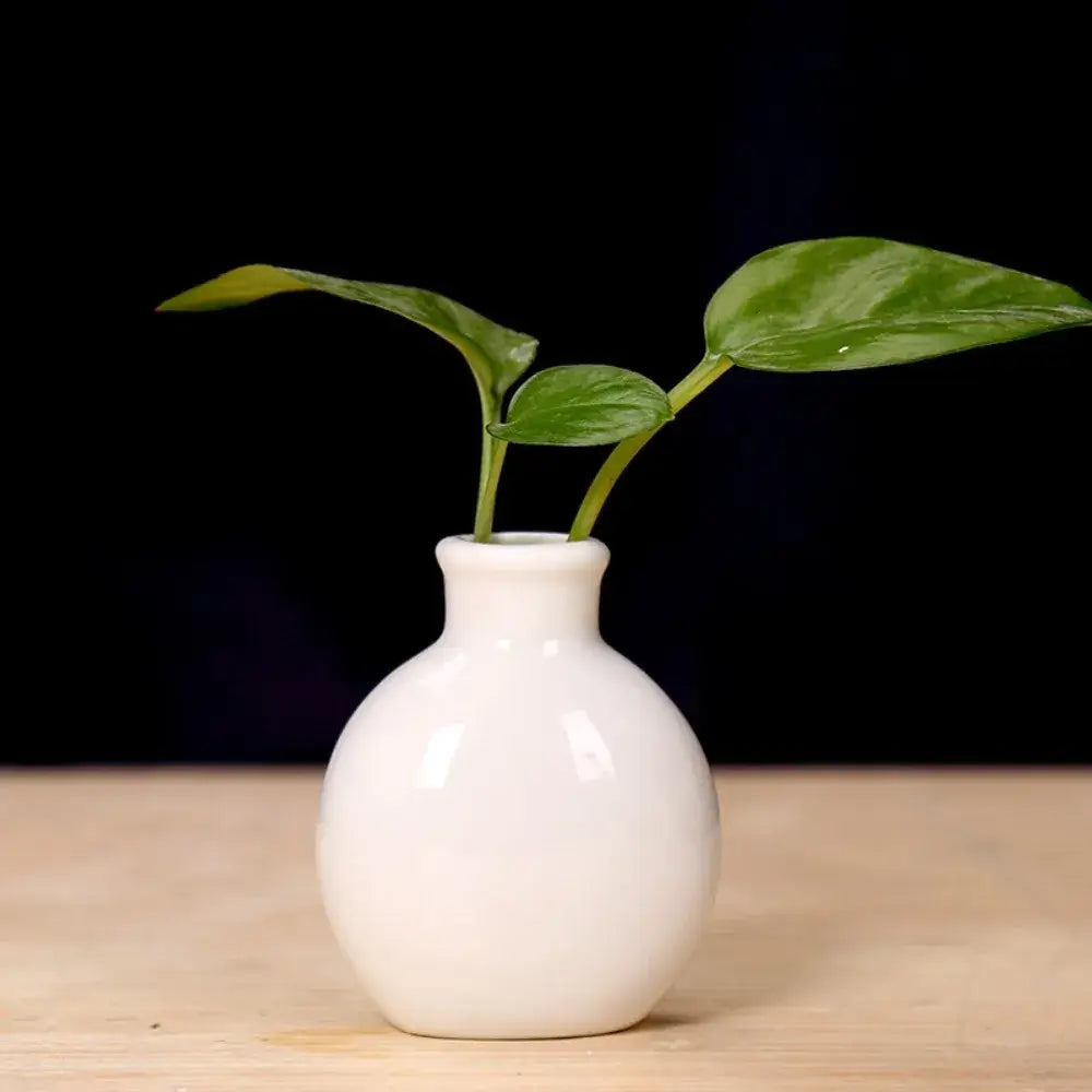 Pastel mini ceramic flower vase set for living room shelf decor