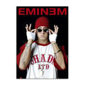 Modern eminem canvas wall art bedroom decor