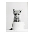 Black and white funny animals wall art – bathroom framed prints