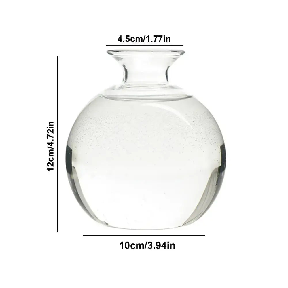 Clear glass avocado seed starter vase kitchen root grower