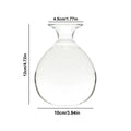 Clear glass avocado seed starter vase kitchen root grower