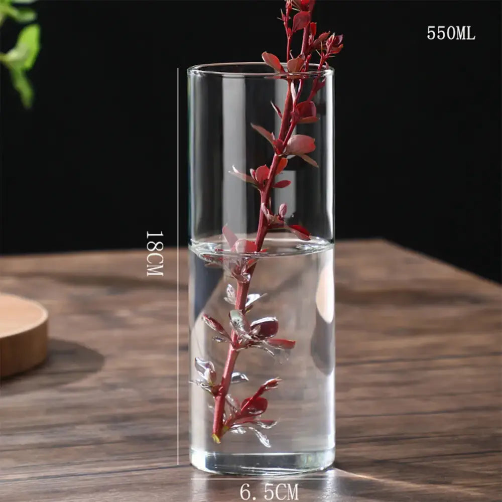Modern ribbed clear glass flower vase desktop living room planter
