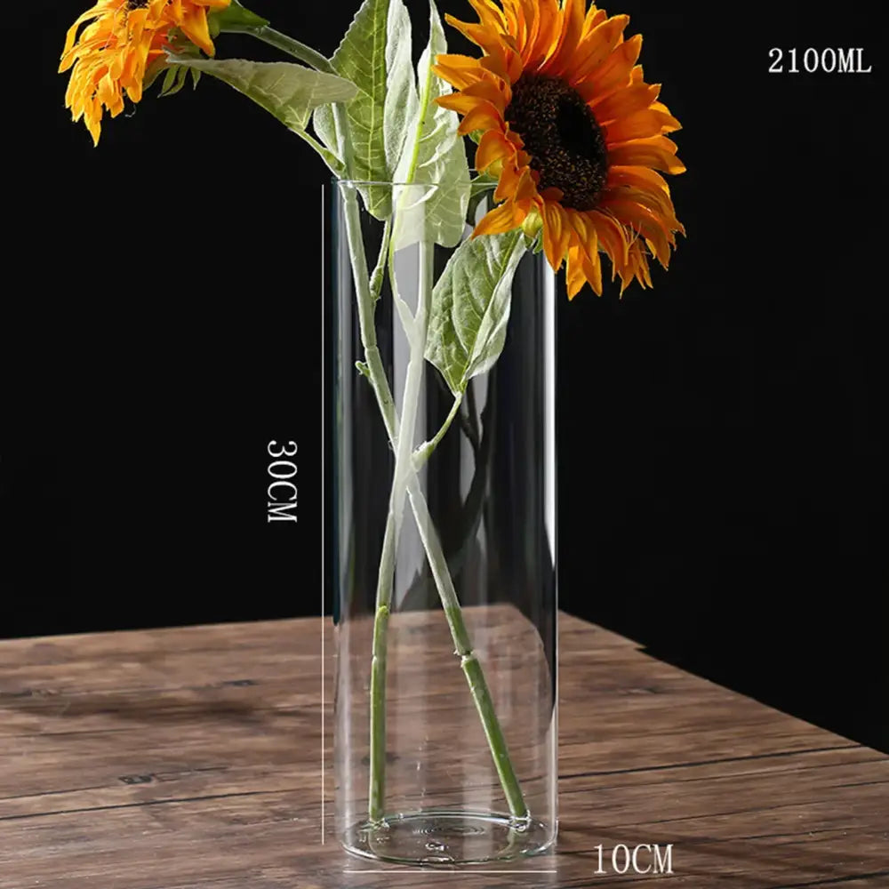 Modern ribbed clear glass flower vase desktop living room planter