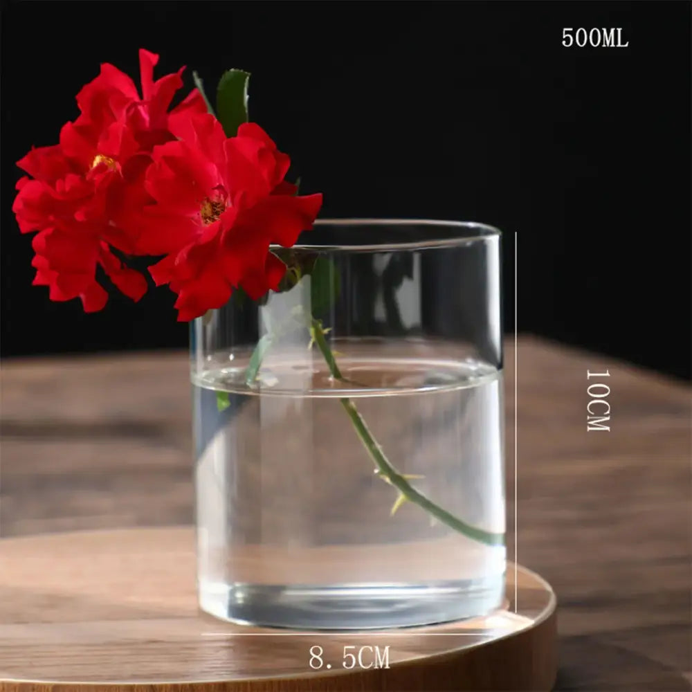 Modern ribbed clear glass flower vase desktop living room planter