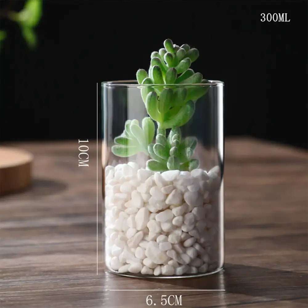 Modern ribbed clear glass flower vase desktop living room planter