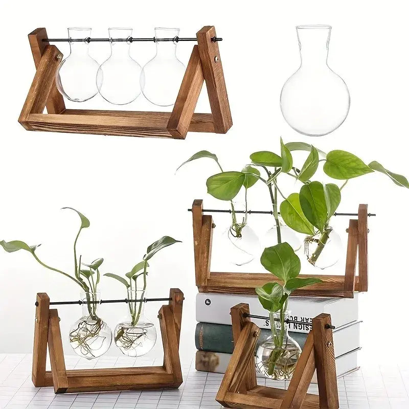 Triangular wood and glass planter propagation station for living room