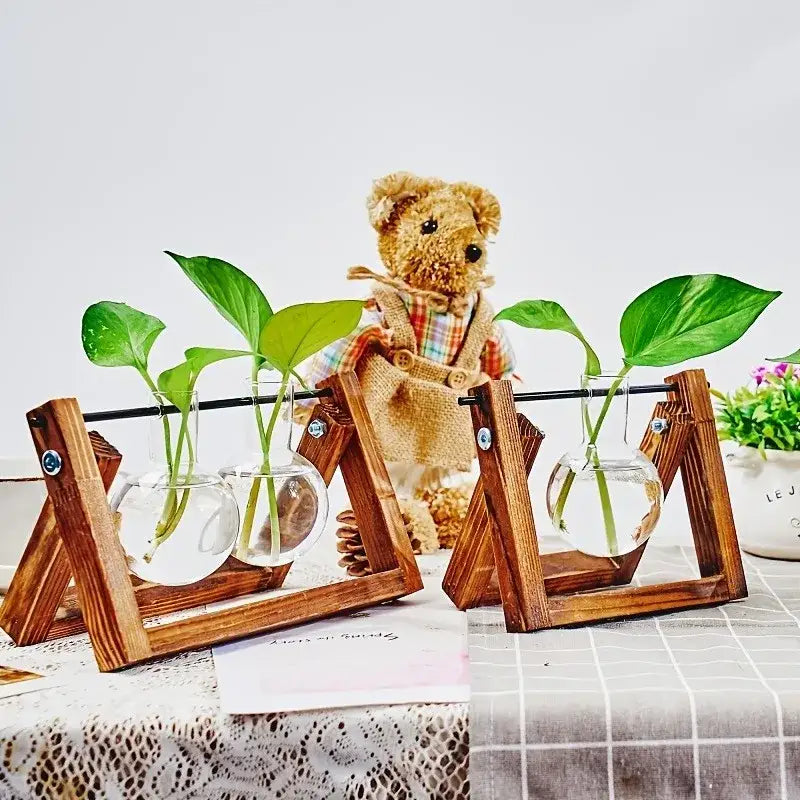 Triangular wood and glass planter propagation station for living room