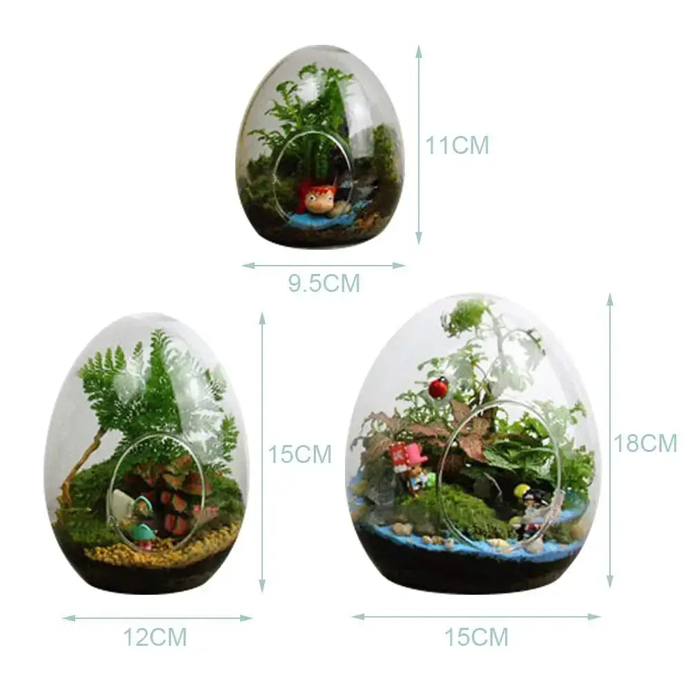 High quality glass egg-shaped terrarium set for living room decor