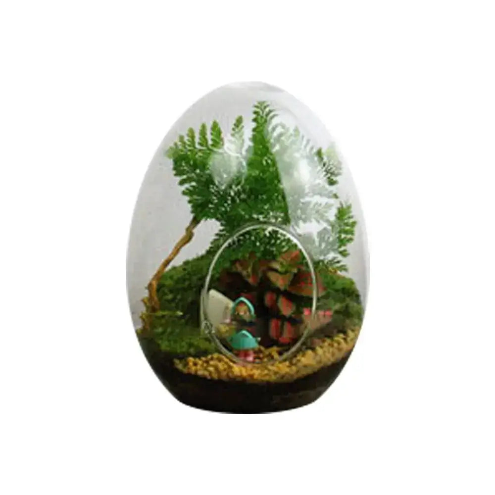 High quality glass egg-shaped terrarium set for living room decor