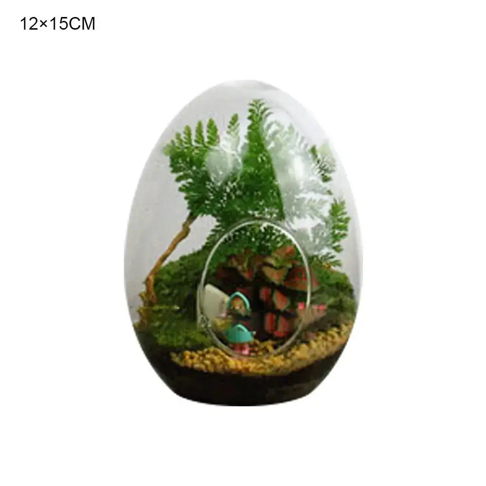High quality glass egg-shaped terrarium set for living room decor
