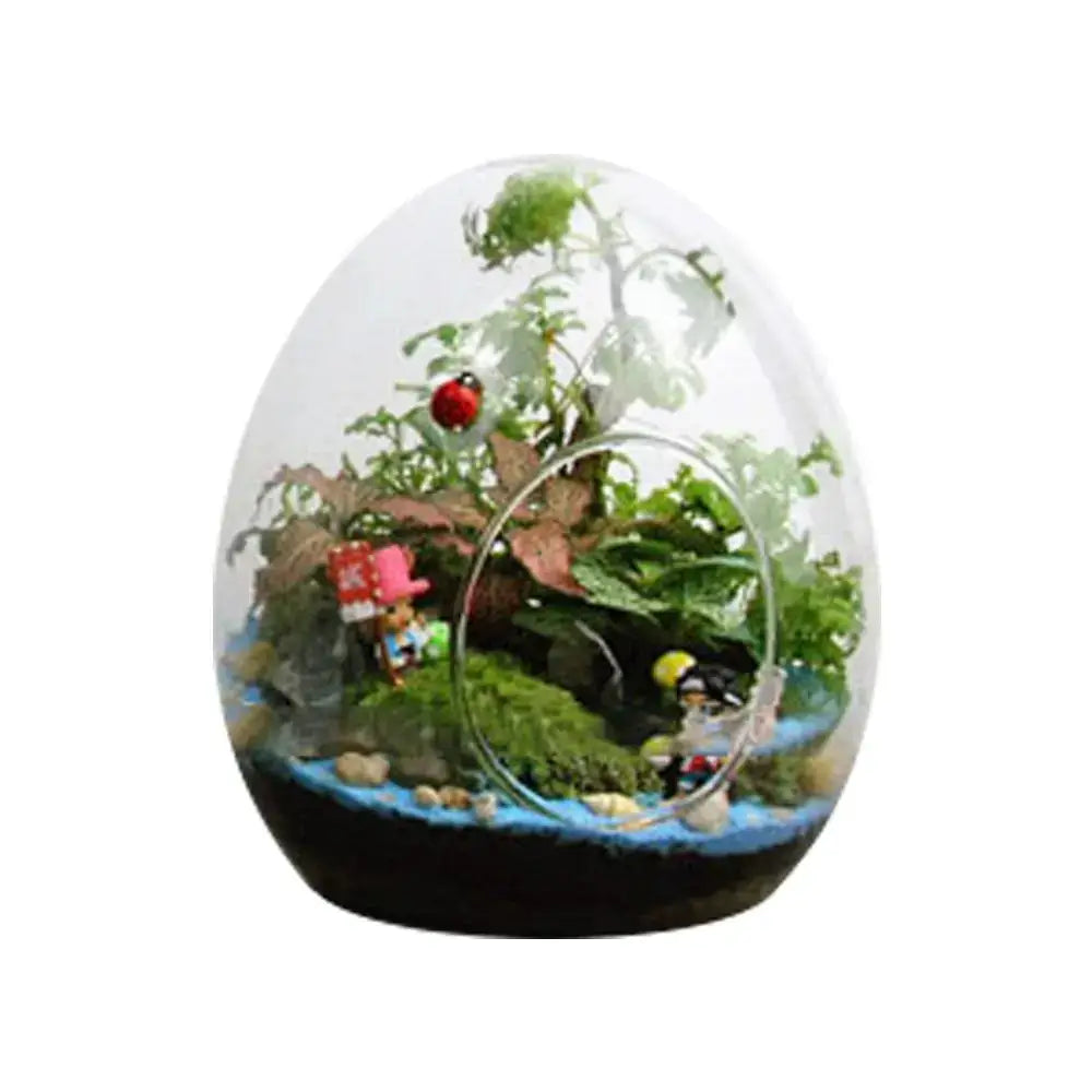 High quality glass egg-shaped terrarium set for living room decor