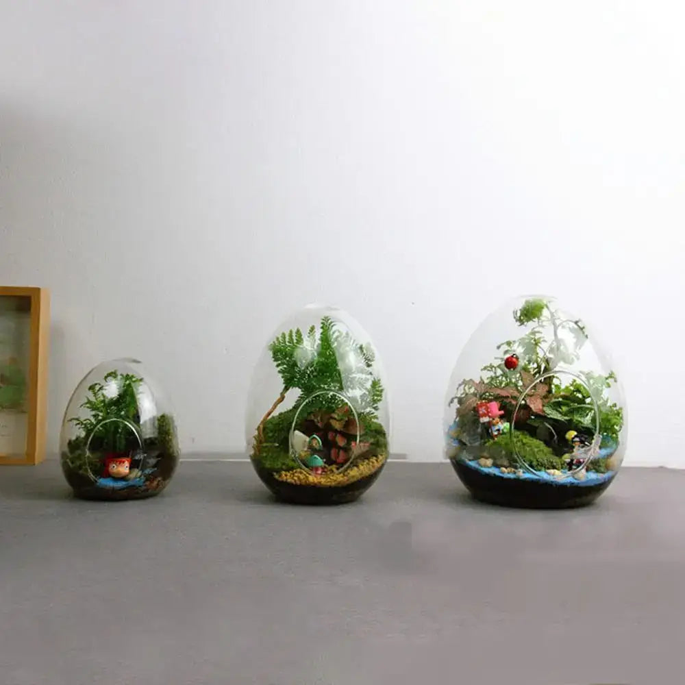 High quality glass egg-shaped terrarium set for living room decor