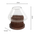 Minimalist clear glass vase with red berries and wood base living room