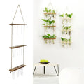 Wooden hanging plant rack with glass test tubes living room decor