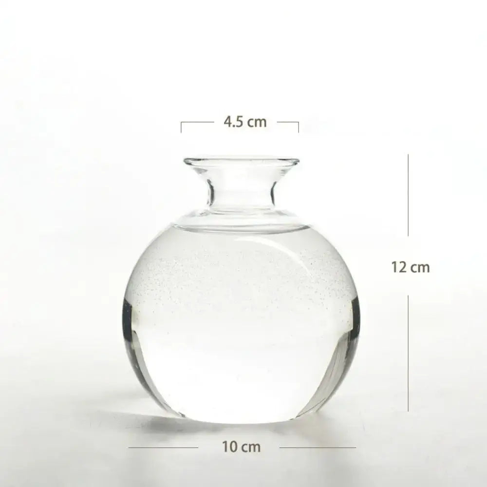 Clear glass hydroponic avocado starter kit kitchen decor growing vase