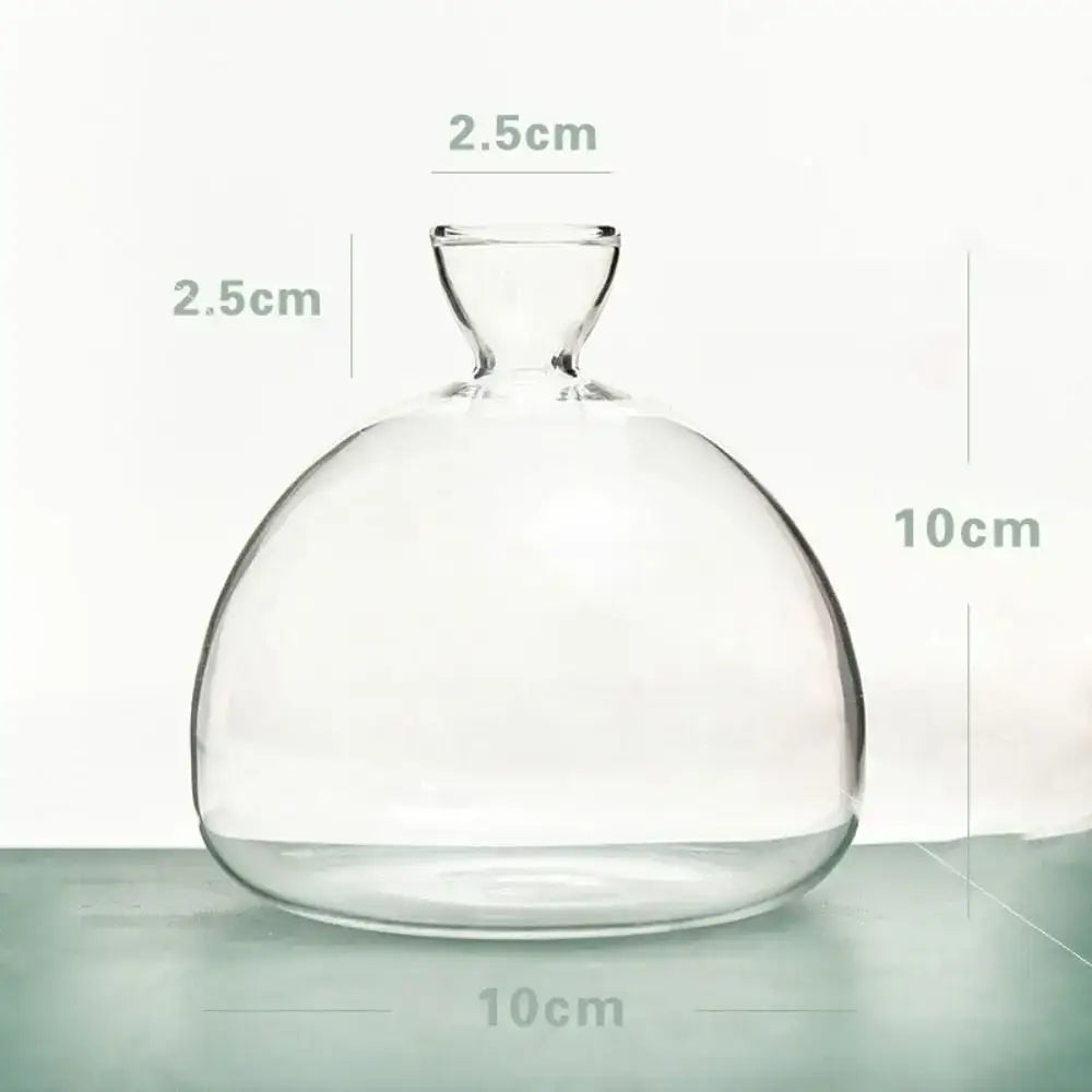 Clear glass hydroponic avocado starter kit kitchen decor growing vase