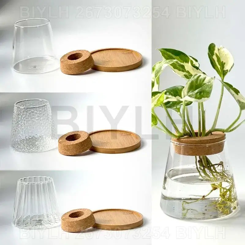 Modern clear glass flower pots with wood base living room planters