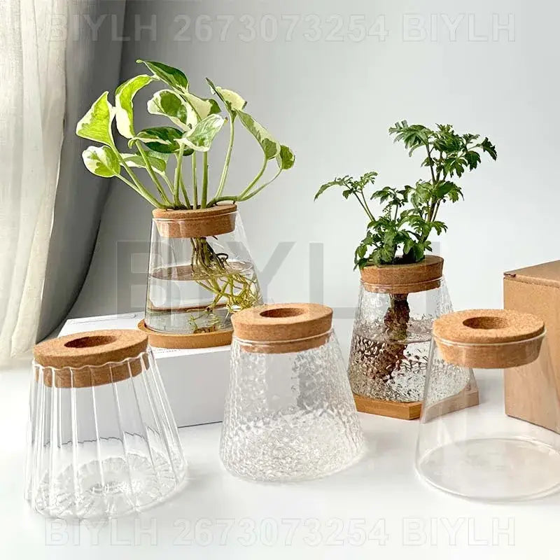 Modern clear glass flower pots with wood base living room planters