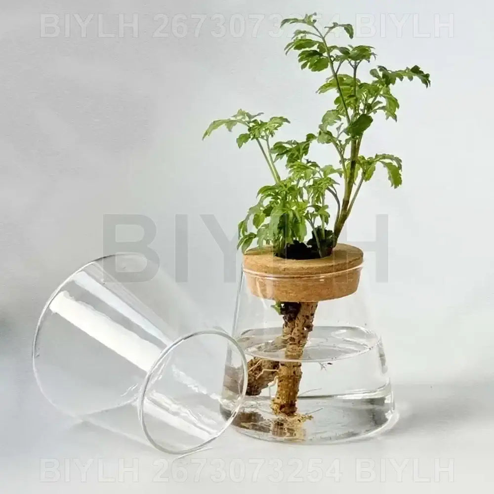 Modern clear glass flower pots with wood base living room planters