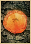 Jurassic park mosquito amber stone dinosaur canvas living room art