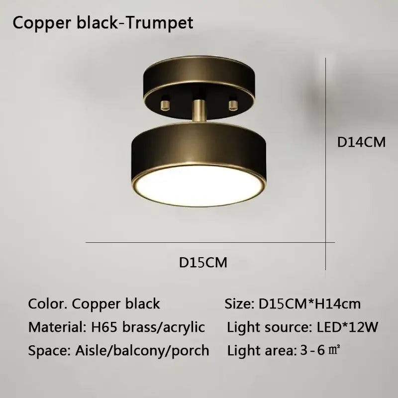 Modern gold circular led ceiling light for bedroom living room