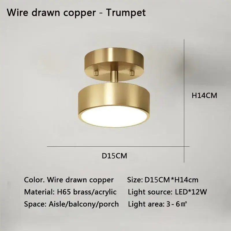 Modern gold circular led ceiling light for bedroom living room
