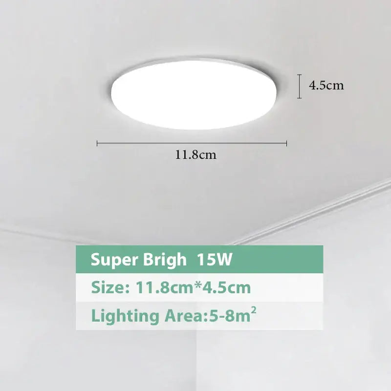 DecorBites™ LED Ceiling Lights for Modern Spaces