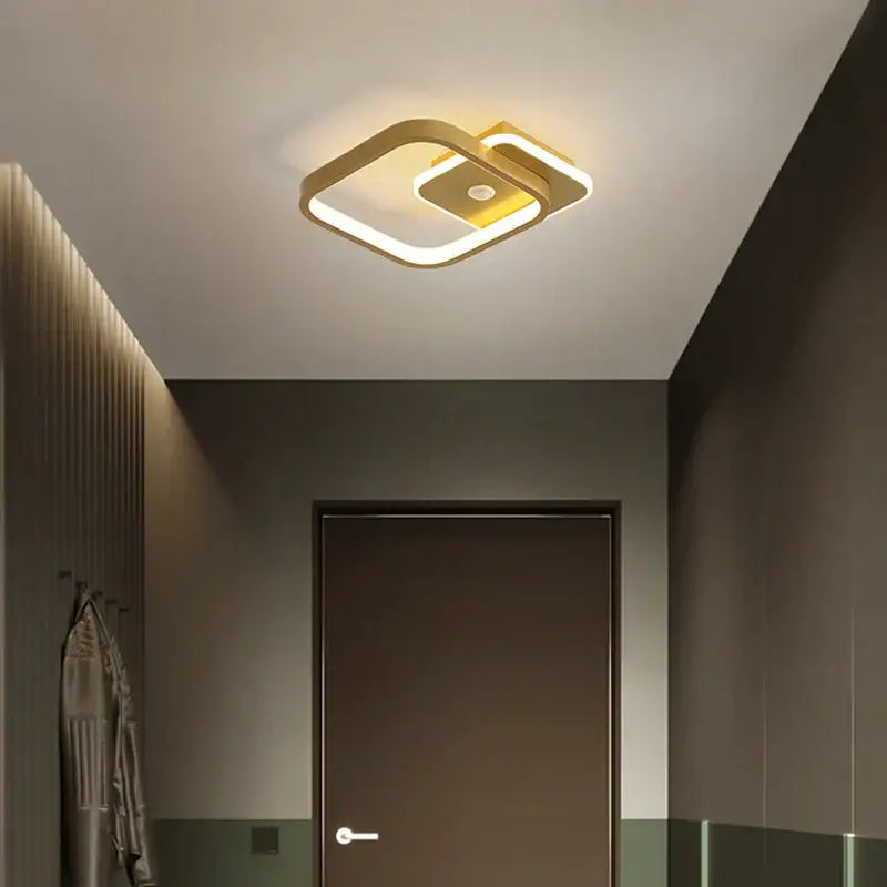 Modern black & gold decorbites led chandelier for living room