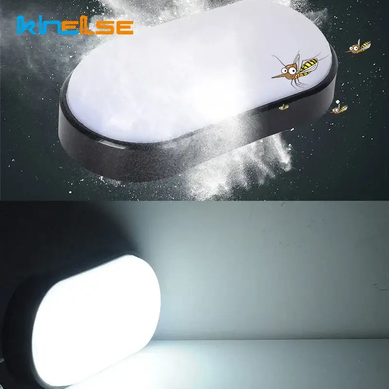 Matte black oval wall lamp waterproof garden ceiling light