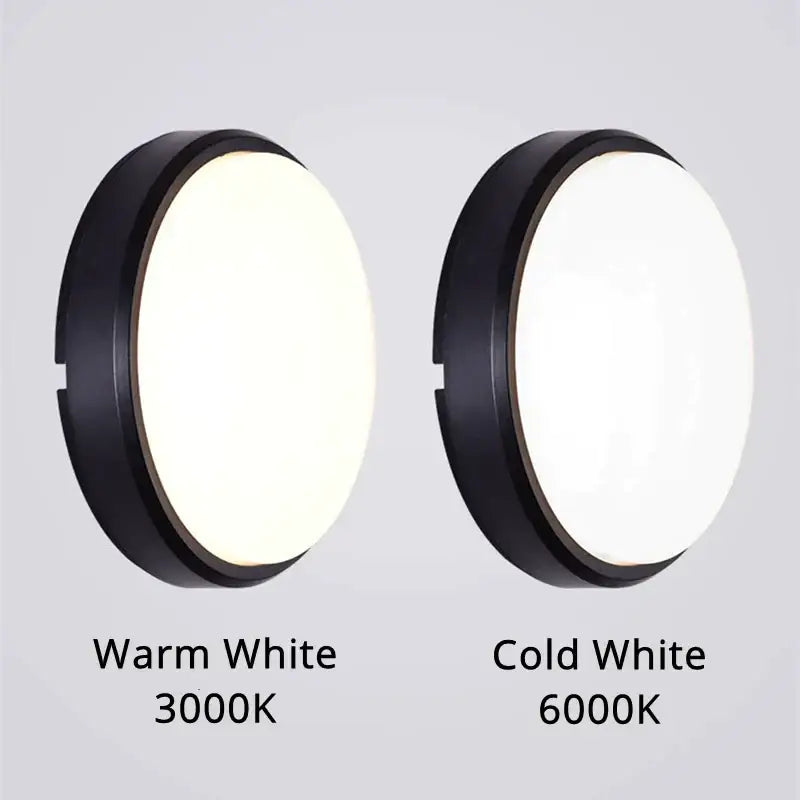 Matte black oval wall lamp waterproof garden ceiling light