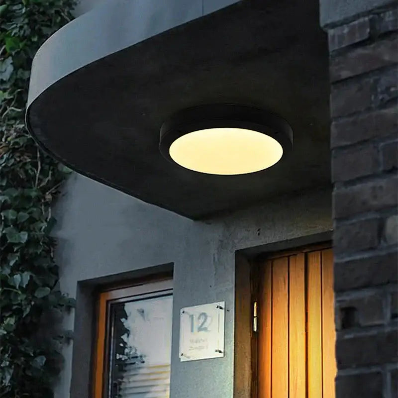 Matte black oval wall lamp waterproof garden ceiling light