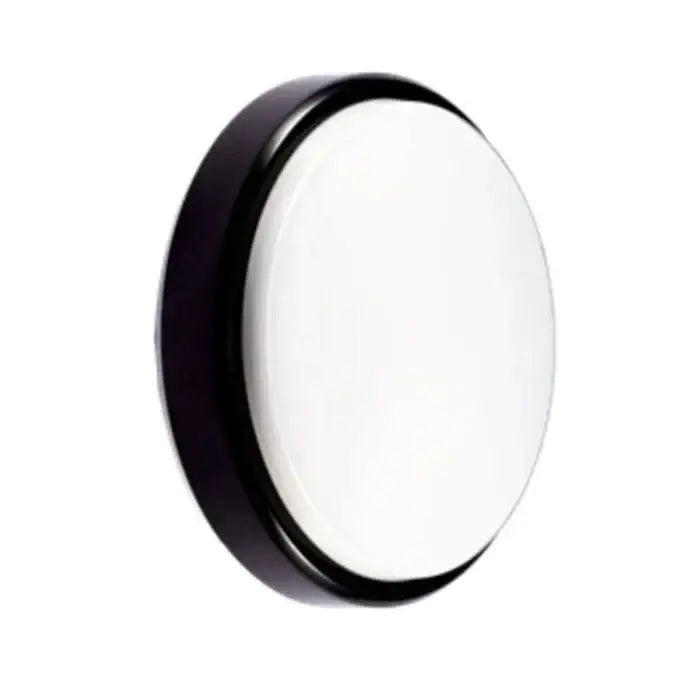 Matte black oval wall lamp waterproof garden ceiling light