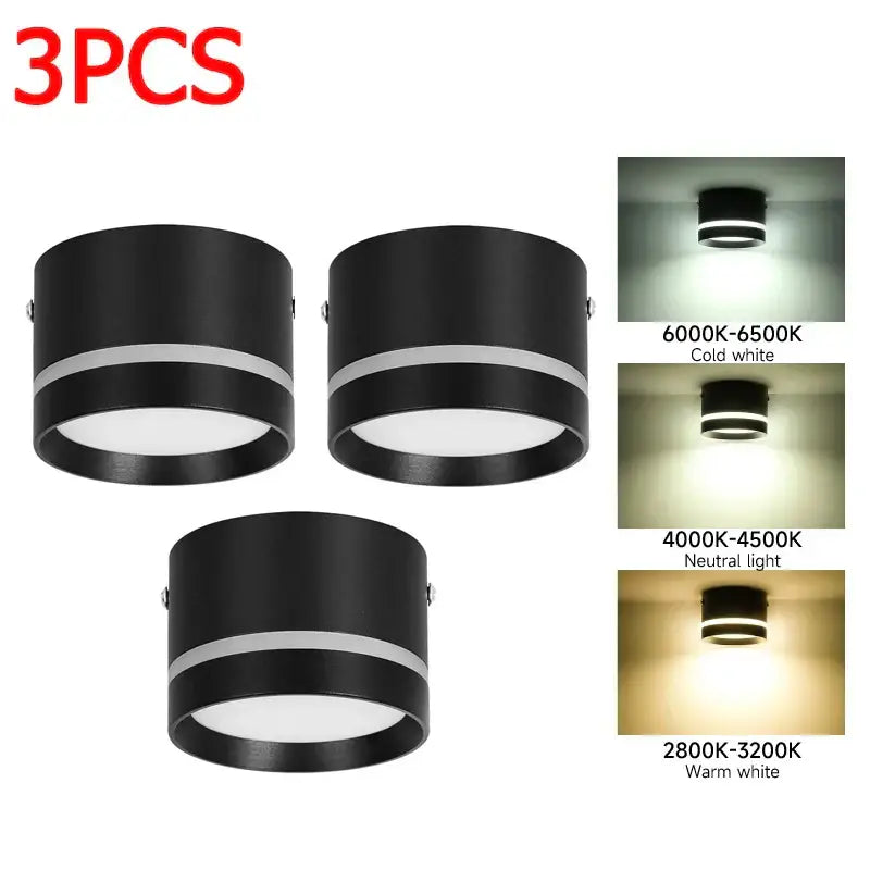Modern black & white led spot lighting living room downlight