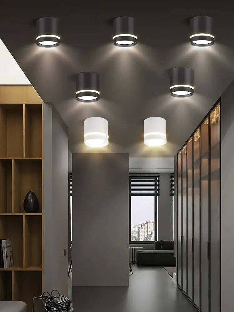 Modern black & white led spot lighting living room downlight